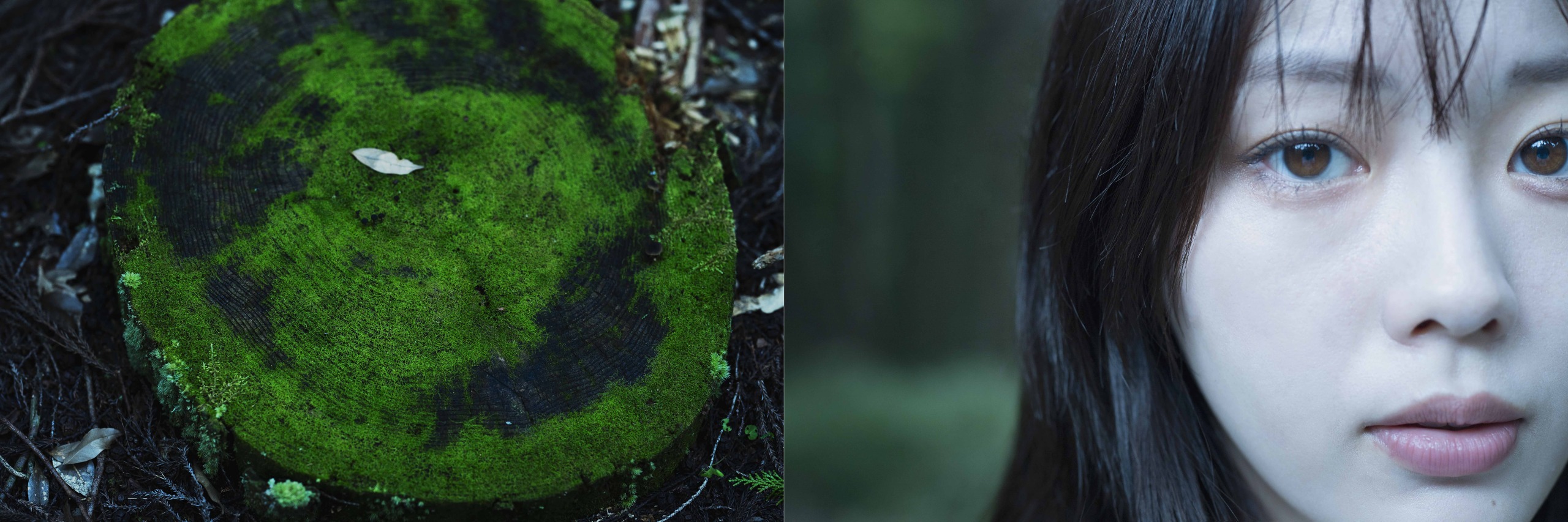 中村里帆 丸谷嘉長 NegativePop